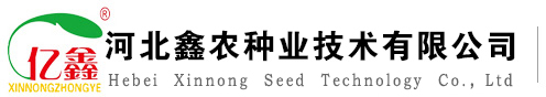 重慶大速電機有限公司官方網站